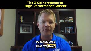 3 Cornerstones to High Performance