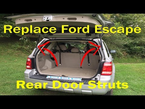 Where is the liftgate support strut in the Ford Bronco?