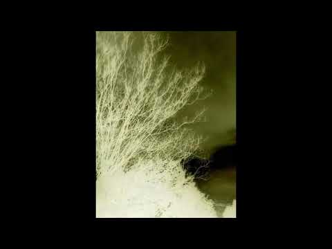 DJ4AM & Sach (The Nonce) - When MCs Dream (Dubwi$e) #LoFi #HipHop #WestCoast #Underground