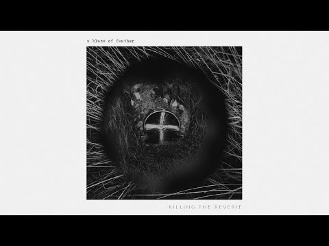 Video thumbnail for Killing the Reverie