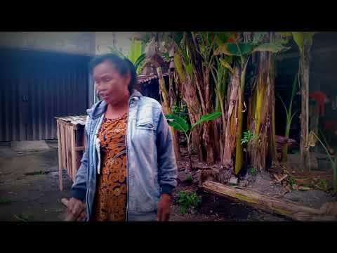 Video lucu simbok Muring || Bikin ngakak !!!