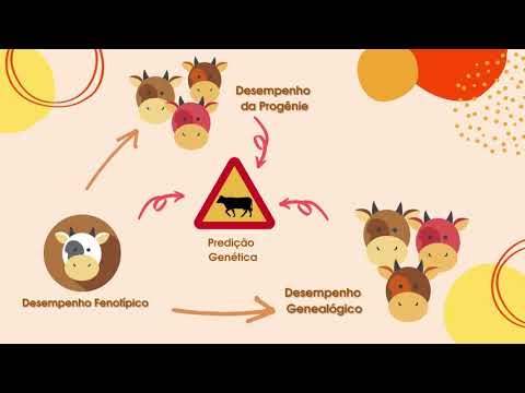 A seleção como uma base para o melhoramento genético