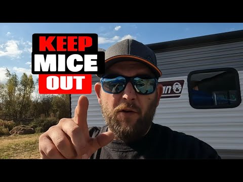 How To Keep Mice OUT Of Your Camper: 5 SIMPLE Steps To Follow
