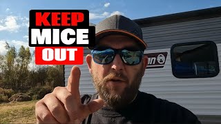 How To Keep Mice OUT Of Your Camper: 5 SIMPLE Steps To Follow
