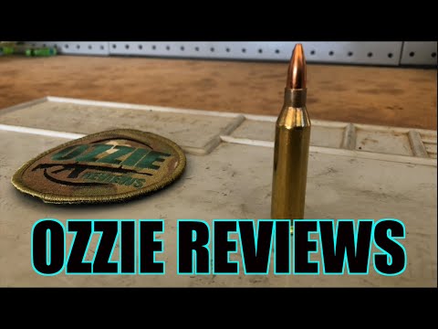 Beginner Basics #19 The 243 Winchester Caliber (pros/cons)