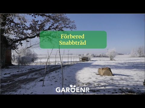 Förbered snabbträd - Trädgårdshacks med GardenR