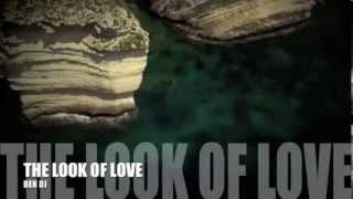 BEN DJ  THE LOOK OF LOVE  and  PROMISE LAND deep house 2013