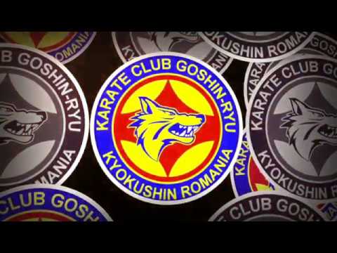 Totoliciu Marian (Rubik Dojo) - Daianu Claudiu (Goshin-Ryu)