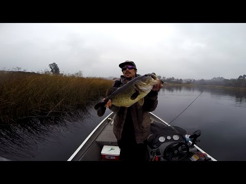 GoPro: Mike Gilbert - Best Catch 8.15.15. - Fish