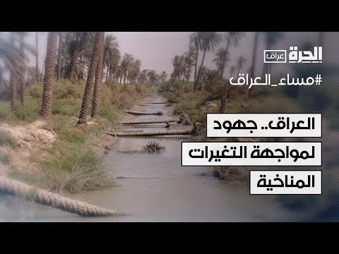 فيديو | العراق.. جهود لمواجهة التغيرات المناخية