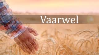 Vaarwel - Frank Boeijen