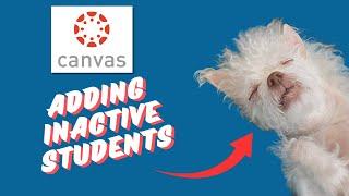 How to Add Inactive Students in Canvas (Admin)