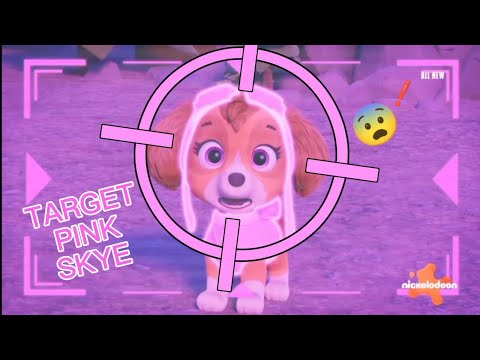 Target Pink Skye! | PAW Patrol