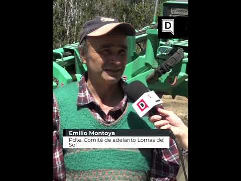 Saesa ejecuta proyecto de electrificación rural en sector Lomas del Sol en Valdivia