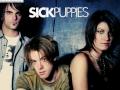 Sick Puppies - You're Going Down (With Lyrics ...