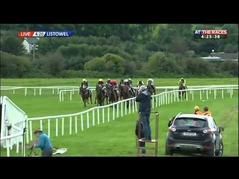 Rogue Angel - Guinness Kerry National Handicap Chase - (2015)