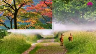 Ráng ngồi thiền