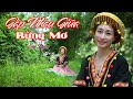Gặp Nhau Giữa Rừng Mơ Liên Ngân