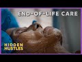 What Are The Final Days Before Death Like? | Hidden Hustles