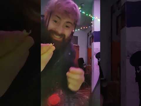 NATO Northeast reacts to Punjabi MC