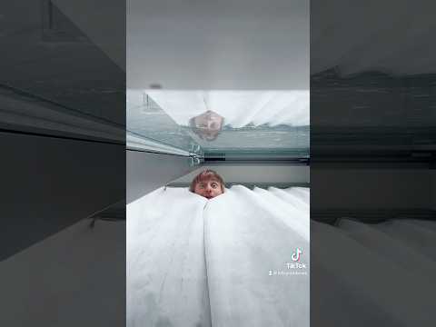 猫は人間をどう見ているか