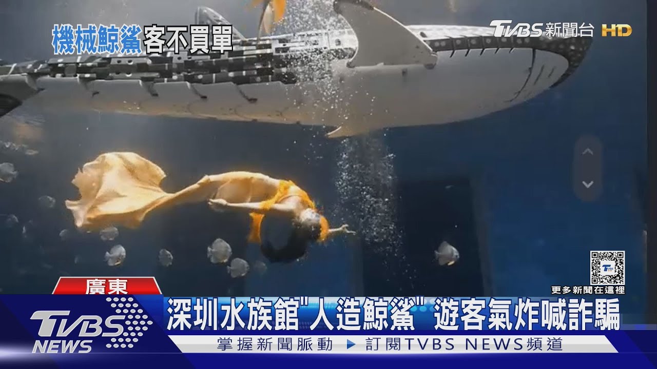 深圳水族館門票破千!遊客看到「人造鯨鯊」氣炸 怒轟詐騙