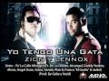 Yo Tengo Una Gata Zion Lennox Intro Pa La Calle Mixtape