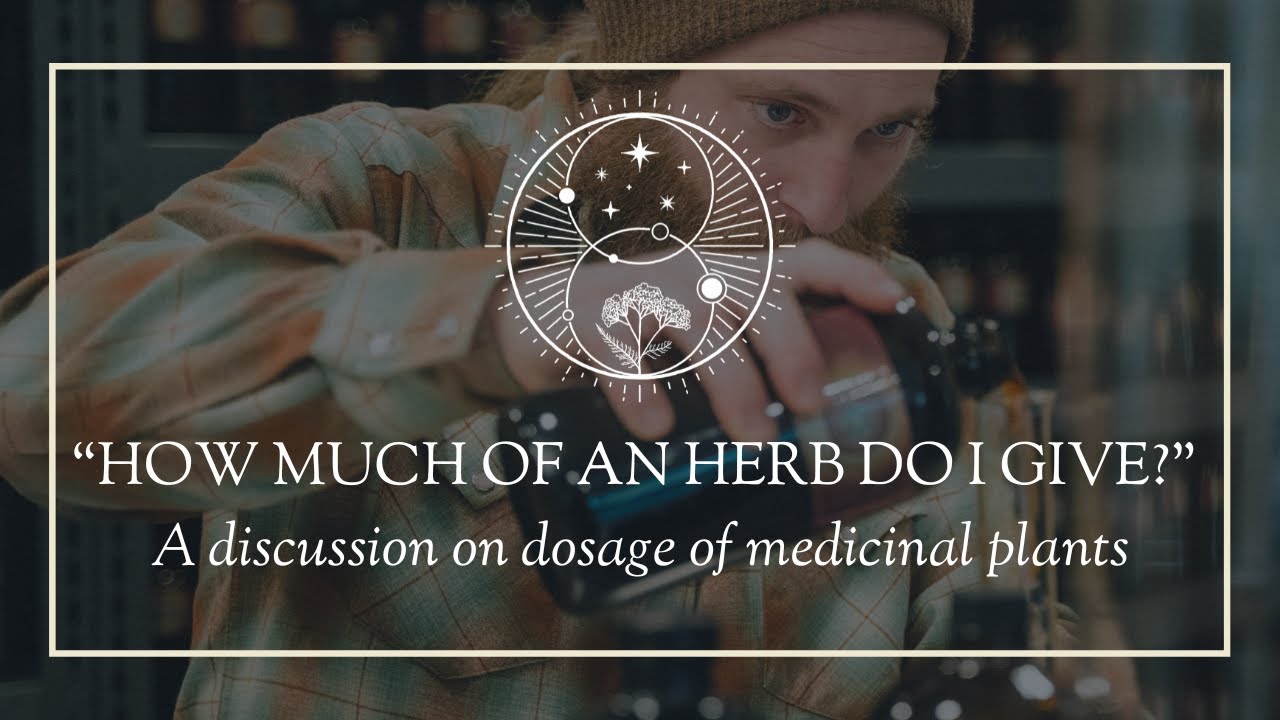 "How much of an herb do I give?" A discussion on dosage of medicinal plants. - YouTube