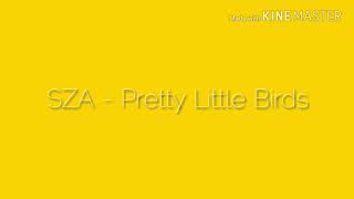 SZA - Pretty Little Birds  lyrics