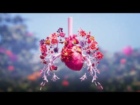 HonorHealth | Inner Universe