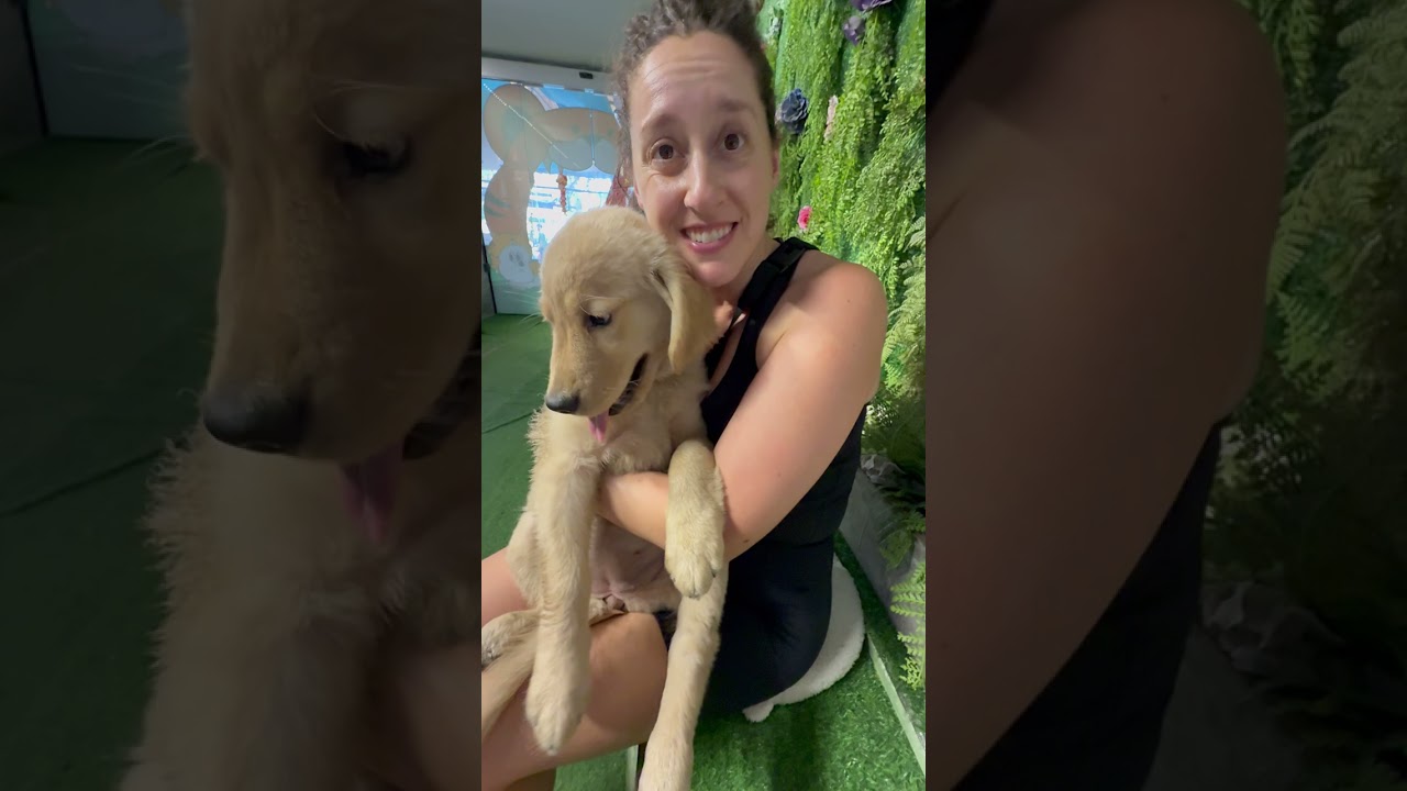 Puppy Cuddles 🐶, Bangkok, Thailand