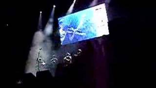 Gossos al CAS (St.jordi Barcelona)