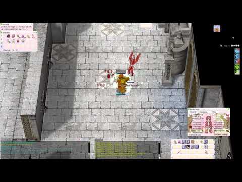 Auto Counter vs Flee Up | TalonRO