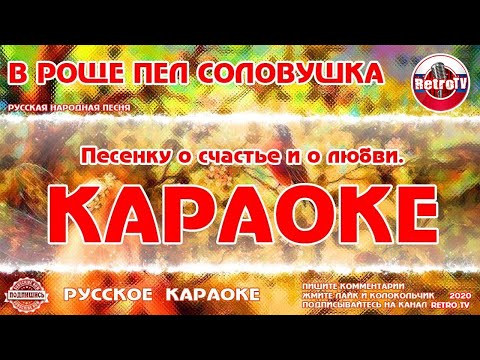 Караоке - "В роще пел соловушка" Русская народная песня