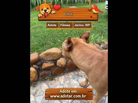Vídeo de Lara