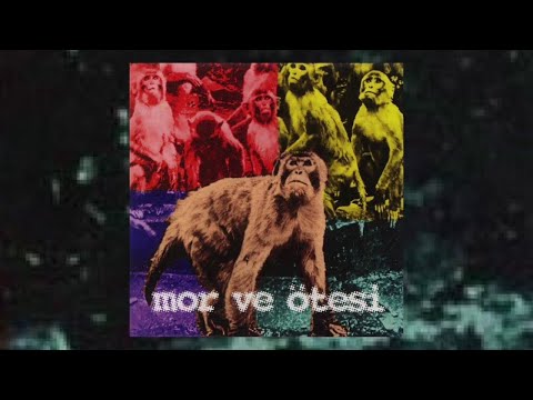 Video thumbnail for Şarkıcı Çocuk