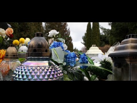 BRW (JoJo) - Numer Osiem