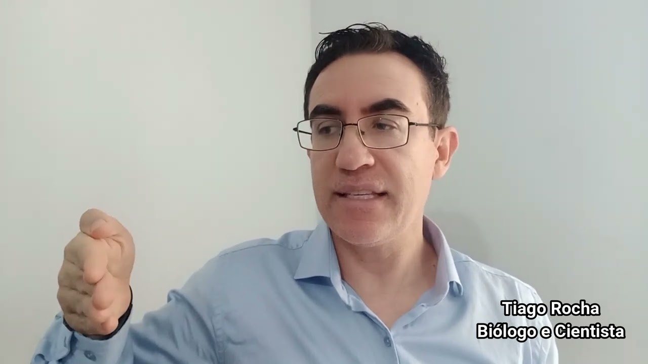 Como escolher a MELHOR CÚRCUMA?