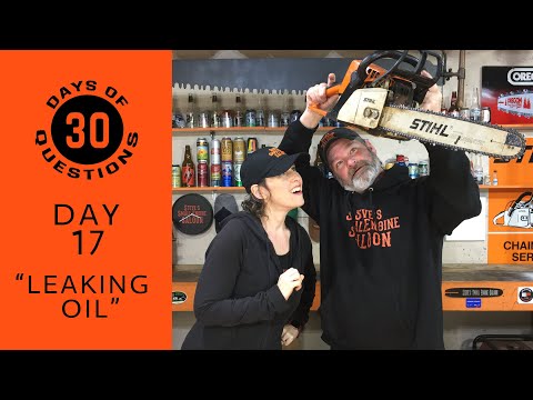 Why Does My Chain Saw Leak Oil? (DAY 17)