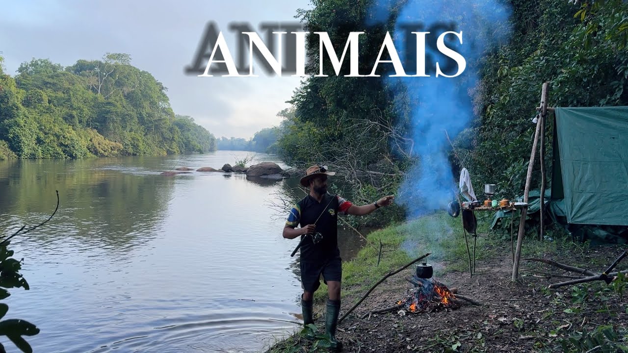 Nunca vi tantos ANIMAIS no mesmo local. Tive que fazer PESCARIA de “ZAGAIA” , teve PEIXE no Molho