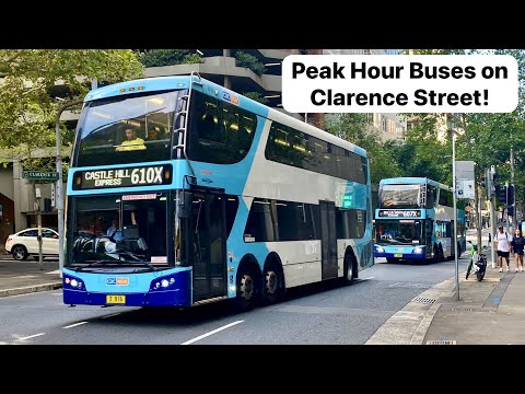 City Buses on Clarence Street in Peak Hour! | Bus Vlog #62