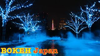 Download lagu Bokeh Japan Walk - Tokyo Blue Illumination mp3