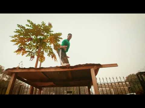 AVEIRO DJESS FEAT ROBINIO MUNDIBU koto bass  #afrodegamme #ndombolo #mopacho