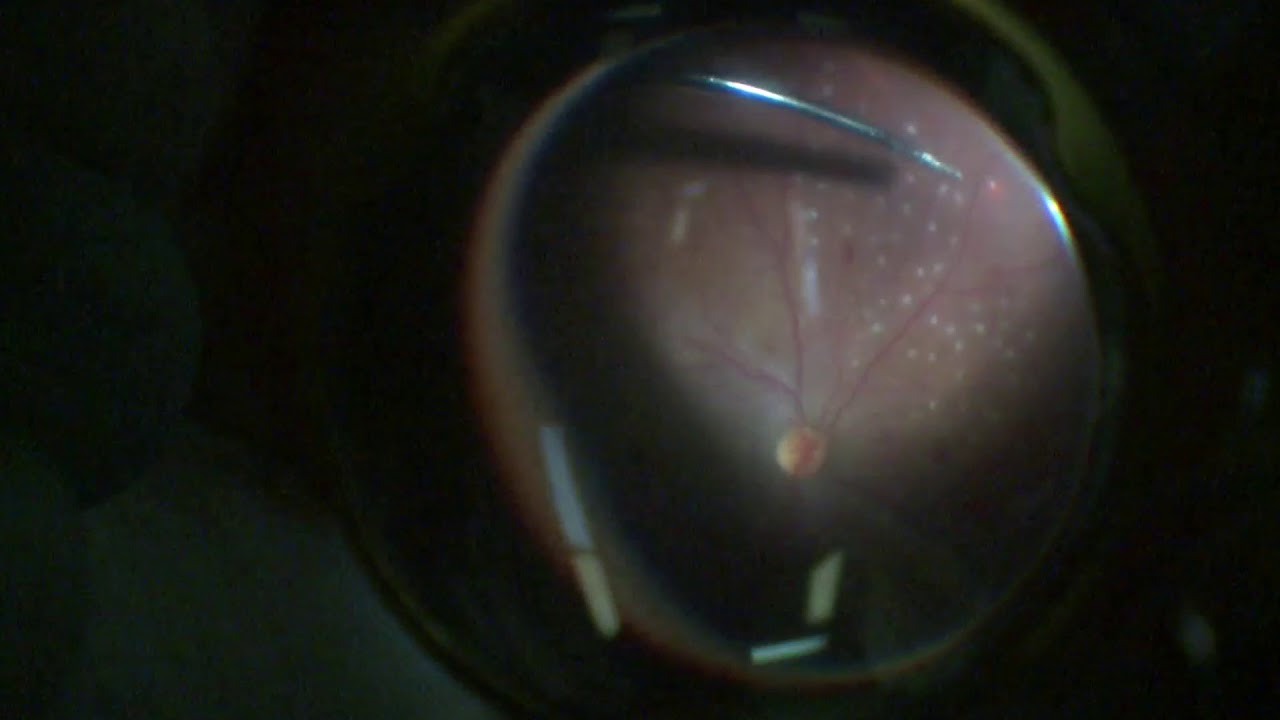 Jorge A. Sánchez Ramos-12