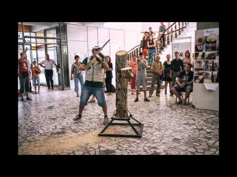 BAICU NICOLAE (STALPENI ARGES)