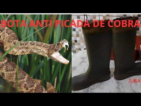 🐍SERÁ QUE ESTA BOTA PROTEGE  (PICADA DE #COBRA) TOMARA QUE SEJA SEGURA NA PESCARIA? 🐍🎣