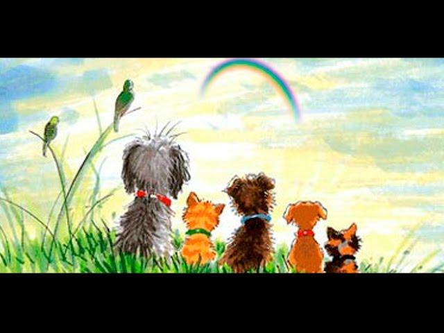 Vídeo relacionado con Agoumlux Atrapasueños conmemorativo de ángel con tarjeta de poema de puente arco iris, regalos de condolencias para mascotas por la pérdida de perro, paisaje natural