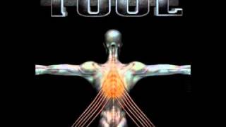 Tool - Maynard's Dick (Salival)