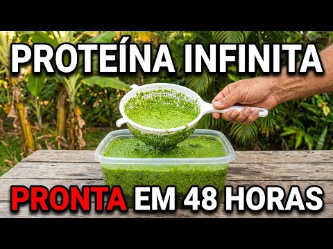 Cultive Proteína Ilimitada em um Balde. Dobra a Cada 48 Horas. Montagem em 5 Minutos.