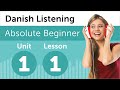 Danish Listening Practice - At a Danish Bookstore